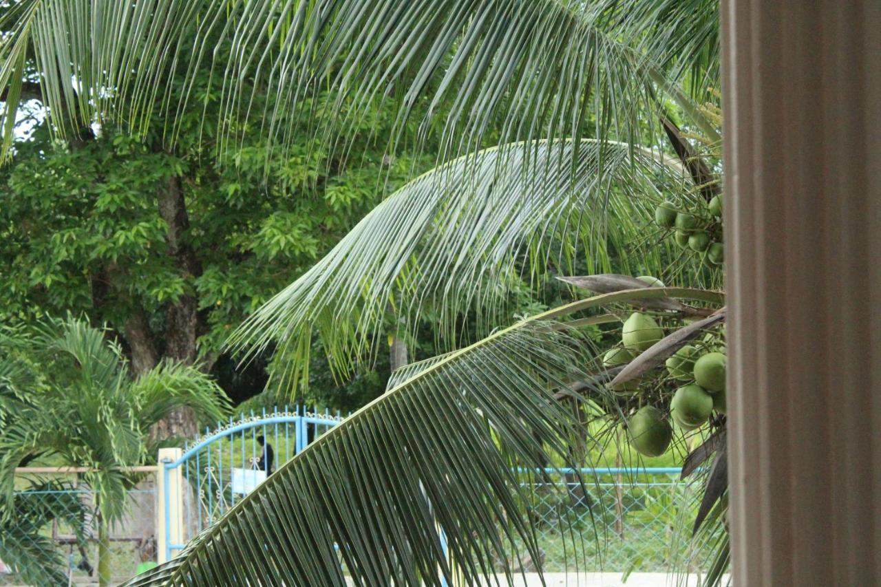 Maya Guest House - Sipaway Island San Carlos  Extérieur photo